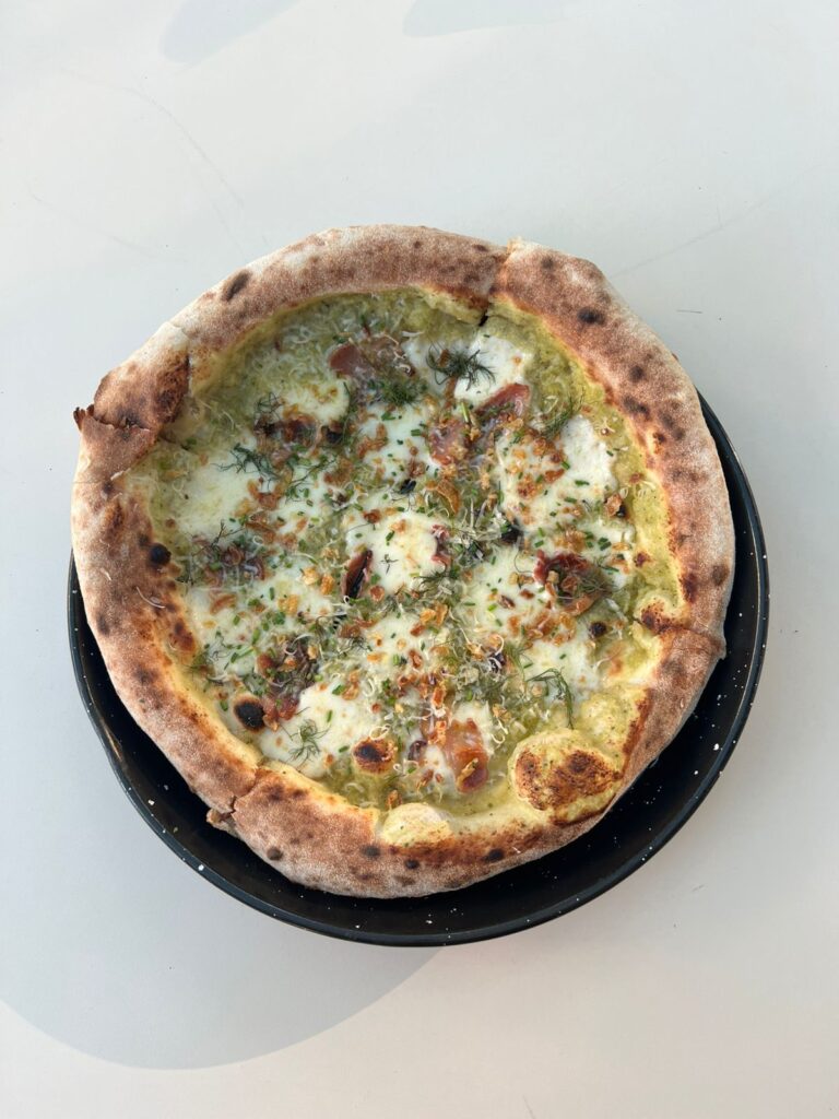 WhatsApp Image 2026-03-03 at 20.20